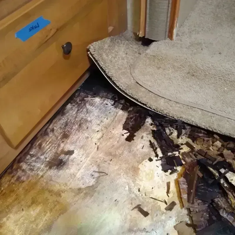 Wood Floor Water Damage in Nashville, MI